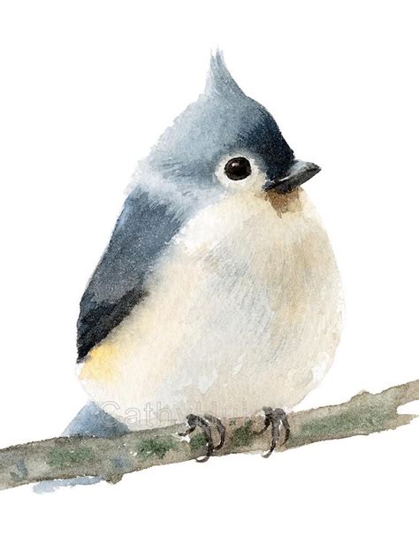 The Tufted Titmouse Watercolor Painting Art Print bird | Etsy in 2020 | Watercolor paintings ...