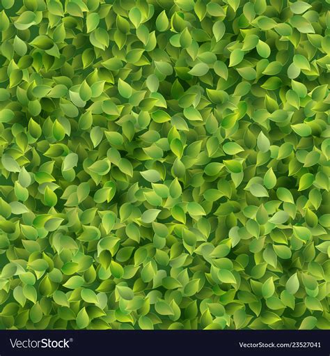 Green leaves pattern texture template background Vector Image