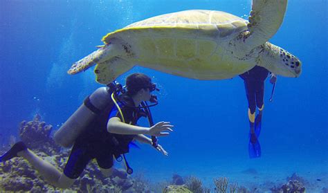 Fernando de Noronha Diving and Snorkeling » Natal