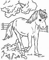 Free Coloring Pages Horse & coloring Book 6000  pages sketch template