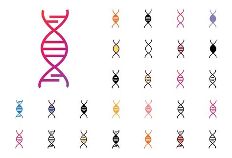 Dna Icon Set Vector Illustration 24485661 Vector Art at Vecteezy