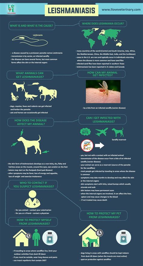 What Are The Symptoms Of Leishmaniasis In Dogs