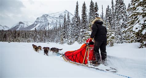 Sleigh Rides & Dog Sledding in Banff and Lake Louise | Banff & Lake Louise Tourism