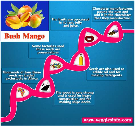 Bush Mango Nuts Nutritional Ingredients And Uses - Veggies Info | Veggies Info