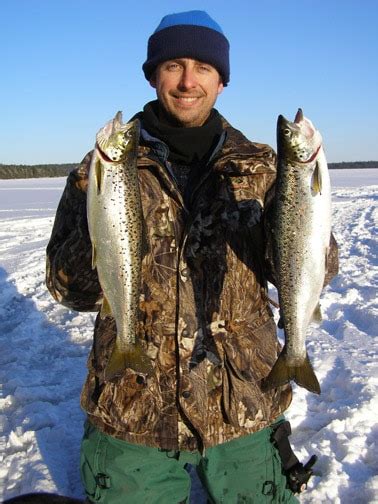 Fishing for Landlocked Salmon in Maine » Fish Species Information