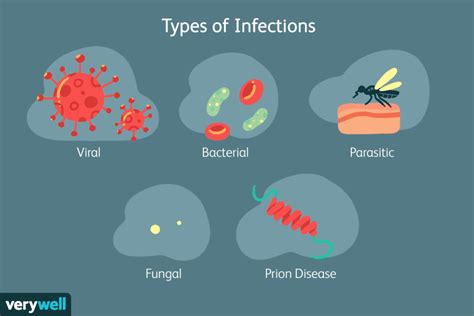 Infection: Overview and More