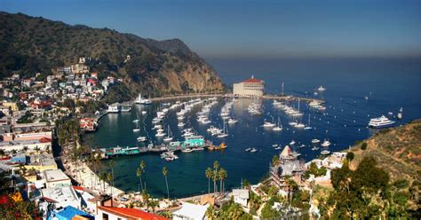 20 Best Hotels in Avalon. Hotels from $96/night - KAYAK