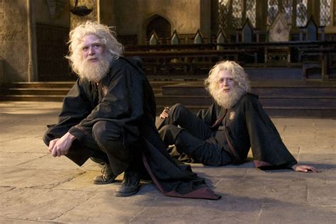 Weasley twins with beards — Harry Potter Fan Zone