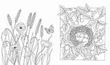 Flora Coloring Book – Olsons Flowers & Gifts sketch template