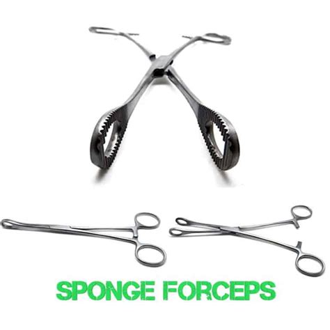 Sponge Forceps In Medical Practice: A Comprehensive Overview