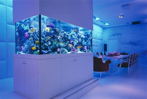 Amazing Built-In Aquariums in Interior Design