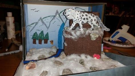 Snow Leopard Diorama | Snow leopard habitat, Leopard craft, Animal projects