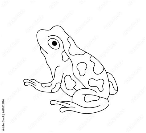 Vector isolated one single simplest sitting frog or toad with spots colorless black and white ...