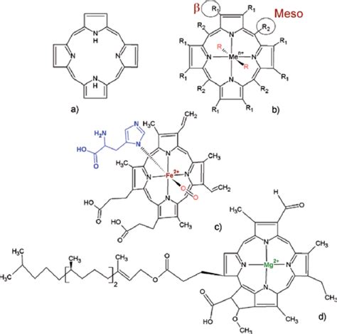 Porphyrin structure. (a) Porphine; (b) generic structure of a... | Download Scientific Diagram