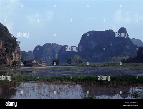 Rice paddy fields Stock Photo - Alamy