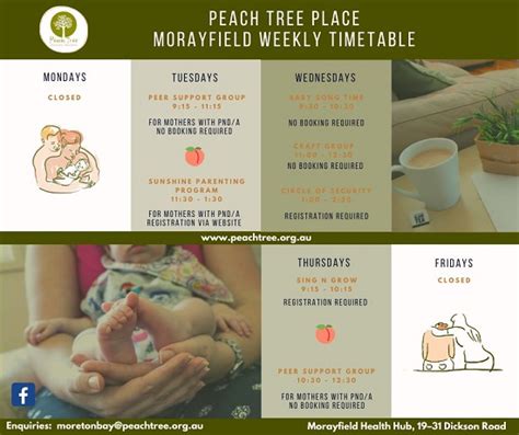 New Peach Tree Timetable - Health Hub Doctors Morayfield