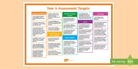 Year 4 Science Assessment Display Posters (teacher made)