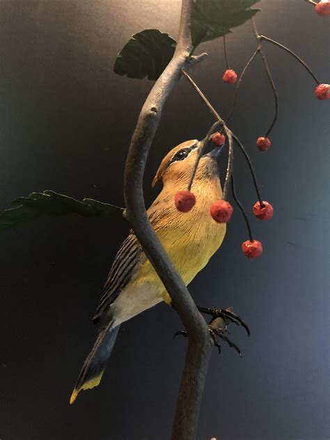 Cedar Waxwing hand carved by Jim Durow | Cedar waxwing, Carving, Hand ...