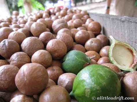 Macadamia Nut Oil Hair Mask: DIY Hair Treatment - Oilypedia.com