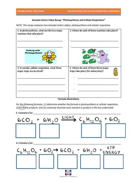 Amoeba Sisters Photosynthesis Worksheets