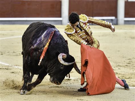 Tomás Rufo y 'Lirón': un torero de verdad y un toro de una pieza contra ...