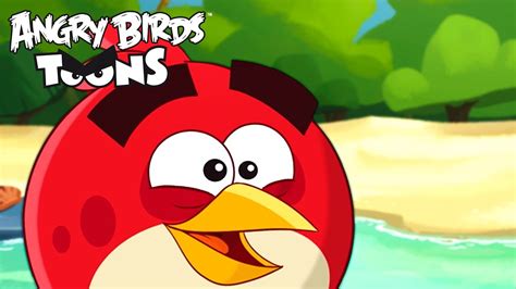 Angry Birds Toons Season 2 | Ep. 1 to 5 - YouTube