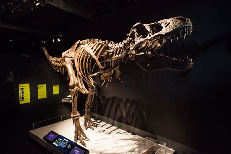 Dinosaurs Abound At Scienceworks - Travels With JB