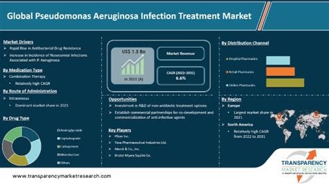 Pseudomonas Aeruginosa Infection Treatment Market Insight 2031