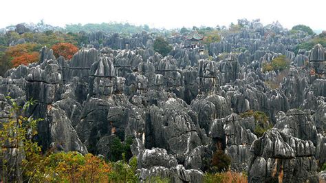 The Stone Forest In China Is a Magical Place You Usually See In Movies