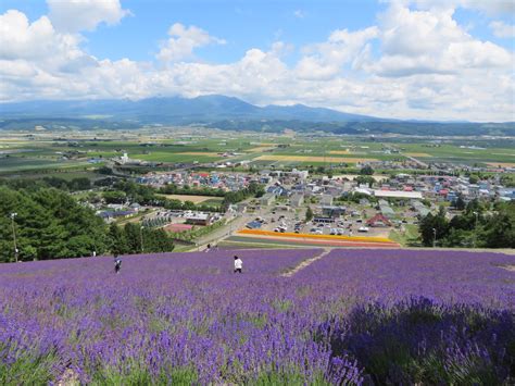 Furano Hokkaido lavender fields Tokyo Weekender 2