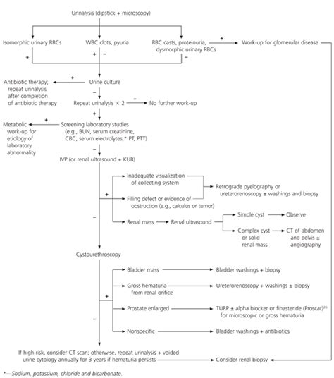 Evaluation of Asymptomatic Microscopic Hematuria in Adults | AAFP