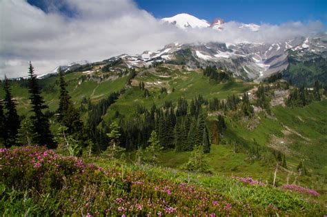 A Guide to Backpacking the Wonderland Trail – Take A Hike Photography