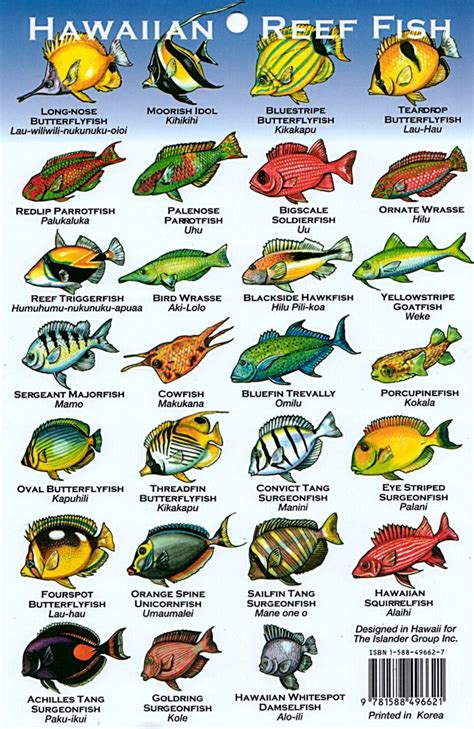 Hawaii Reef Fish chart. The crazy thing is that these illustrations don't even do most of them ...