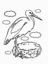 Stork Coloring Pages sketch template