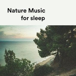 These are some calming tunes inspired by nature sounds. If you need ...