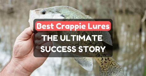 Best Crappie Lures The Ultimate Success Story