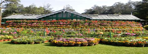 Government Botanical Gardens - Ooty (2020 - Entrance Fee, Timing ...