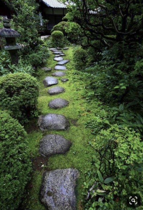 22 Japanese Moss Garden Design Ideas To Consider | SharonSable