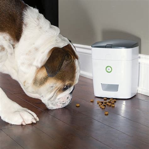 Remote Dog Treat Dispenser » Petagadget