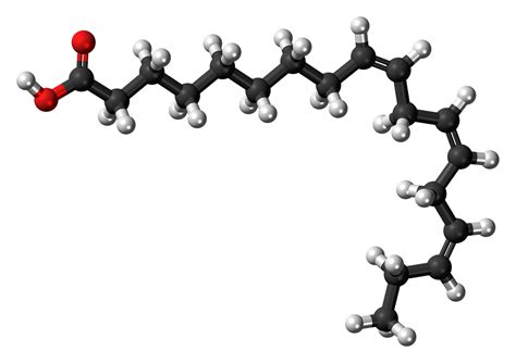 Download free photo of Alpha linolenic acid,fatty acid,unsaturated,molecule,structure - from ...