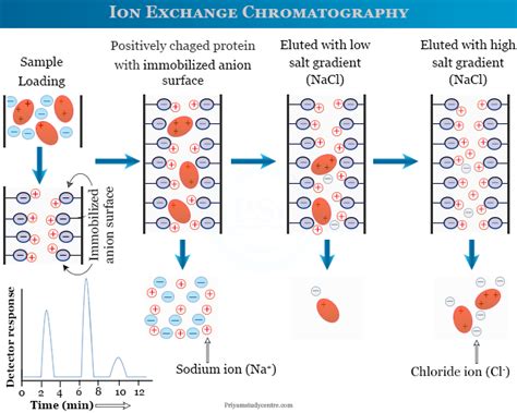 Ion Exchange Chromatography - Principle, Procedure