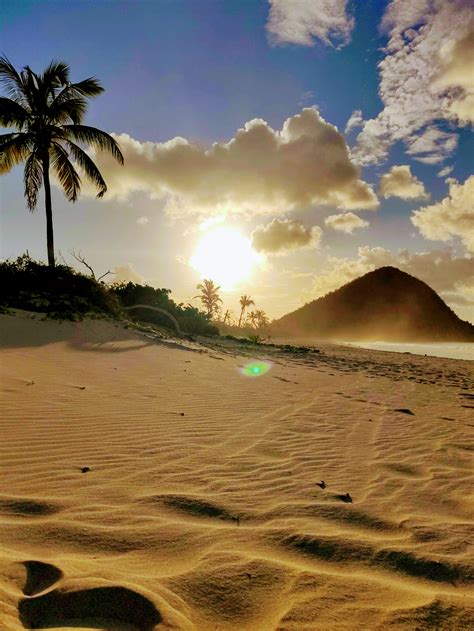 Tortola Snorkel & Beach Tour | Sunny Day Adventures