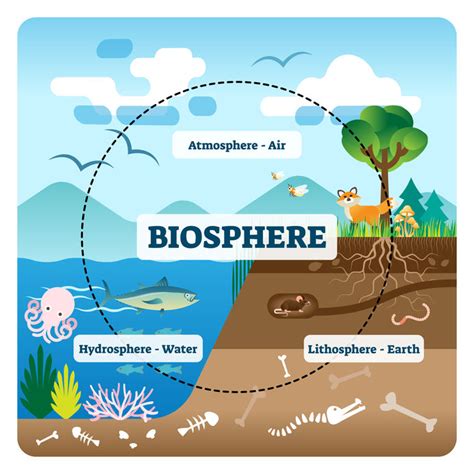 Biosphere - INSIGHTS IAS - Simplifying UPSC IAS Exam Preparation