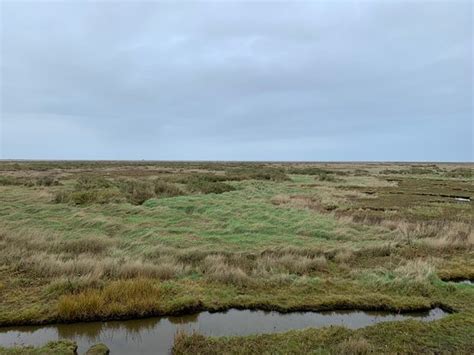 Blakeney National Nature Reserve (Morston) - 2020 All You Need to Know ...