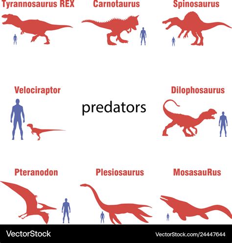 Set of carnivorous dinosaurs Royalty Free Vector Image