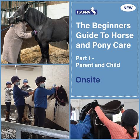 The Beginners Guide To Horse and Pony Care Part 1 - Parent & Child ...