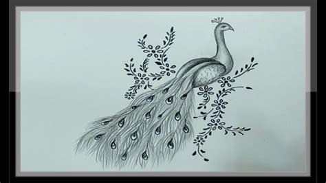 Peacock Pencil Drawing Outline - bmp-box