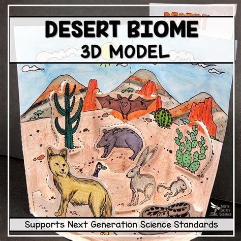 Desert Biome Model – 3D Model – Biome Project | Nitty Gritty Science