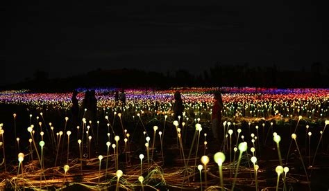 Everything You Need To Know About Uluru's Field of Light