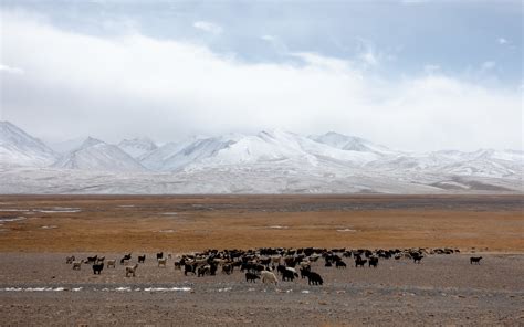 Cycle Touring in Central Asia: the Pamir Highway (Part One) — TWO BIKE TO